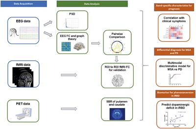 Network disruption based on multi-modal EEG-MRI in α-synucleinopathies